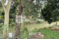 60m2 view suối, 2mt hàng xóm dự án vin đồng trúc 1ty3