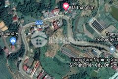 Đất đường điện biên phủ tổ 01, tt sapa, tỉnh lào cai siêu hót