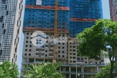 Cần bán chung cư ngay trung tâm giá rẻ giật mình