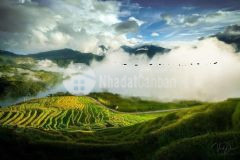 331m2 mảnh đất tại y týsapa 2 giá đẹp để đầu tư