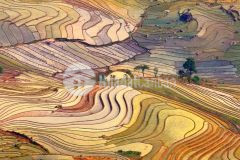 300m2 đất có sẵn nhà tại trung chải y tý giá thích hợp để đầu tư