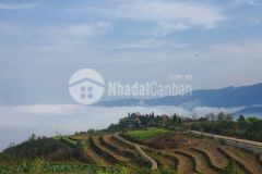 Bán lô đất nghỉ dưỡng diện tích 1.1ha phường cầu mây, thị xã sapa, vew săn mây siêu đẹp.