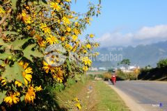 Bán cắt lỗ mảnh đất gần 2.000m2 tại mộc châu giá phù hợp để đầu tư