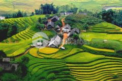 Gần 5.000m2 đất nền tại sapa đã có sổ đỏ cần bán cắt lỗ do dịch