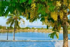 Chủ gửi bán lô góc e3 2x gần ngay trường học, dự án golden bay nha trang.