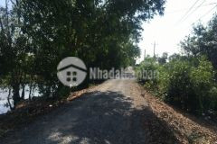 2hecta đường bắc trương văn sanh, thạnh mỹ,tân phước,tiền giang