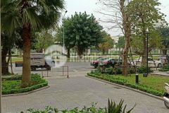 Cho thuê shophouse 2 tầng vị trí đắc địa mặt đường 52m2 trục chính dự án vinhomes ocean park 50tr