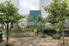 Bán đất đấu giá kđt dương nội 50m2 nhỉnh 12xtrm2