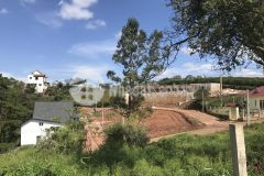 Đất sào nghỉ dưỡng trên đồi thông trung tâm tp bảo lộc, view cao toàn cảnh, đất có sổ