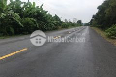 3hecta mặt tiền tỉnh lộ 867,thạnh mỹ,tân phước,tiền giang