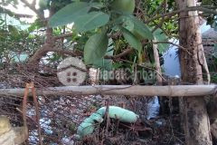 Đất lô góc, mặt phố bắc cầu, long biên.