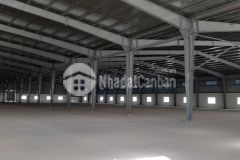 Cho thuê kho xưởng trong khu công nghiệp nhơn trạch 2, huyện nhơn trạch, tỉnh đồng nai