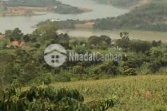 Cần bán lô đất di linh lâm đồng 450tr1000m2 chính chủ bao công chứng sang tên