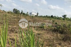 Bán hơn 500m2 đất biệt thự kdc gần chợ láng dài đất đỏ, shr, chỉ 1 tỷ 50 triệu. lh0933872528.