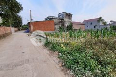 Bán đất sổ đỏ xã phú cát lô góc 300m thôn 5 xã phú cát quốc oai diện tích 300m,mặt tiền hơn 11m