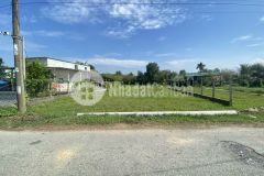 Cần bán nhanh miếng đất vườn hơn 1000m2 ở củ chi đường nhựa oto đến đất