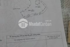 Cần bán mảnh đất view đồi chè nằm tại chiềng sơn