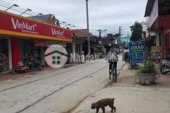 Siêu đẹp bán cực gấp 60m đất bìa làng,lô góc ô tô tránh tại nam cương.