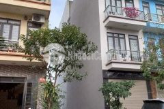 Đất vàng đấu giá ngô thì nhậm vỉa hè thênh thang ô tô tải tránh kinh doanh đỉnh