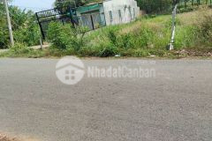 Đất thổ cư đường 390 nhựa 8m, 102m2 giá 1ty250