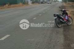 Đường ql55b 40x43 250 triệum ngang tân nghĩa hàm tân