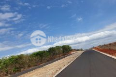 Bán đất ấp chợ mới, xã long hoà, tx gò công, tiền giang, shr, 21.5trm2.