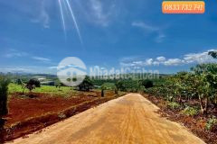 Còn 1 lô duy nhất tại nam hà, lâm hà. với giá 1ty3