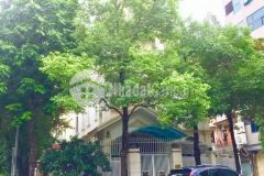 Bán biệt thự làng việt kiều châu âu 155m x 3t,mt 10m khu vực đáng sống, kd mọi loại hình gía 23.8 tỷ