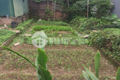 Chính chủ cần tiền nhờ bán mảnh đất đẹp tại trung tâm phố trạm