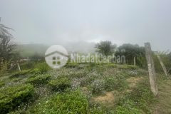 Mảnh đất khoảng 1,1ha, thuộc chiềng đi ttnt mộc châu. gồm 4 thửa đất 119,119b,107,85 có 400m đất ở