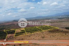 Bán đất ấp chợ mới, xã long hoà, tx gò công, tiền giang, shr, 19.5trm2.