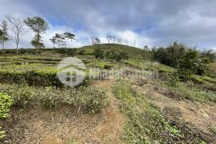 Bán nhanh mảnh đất nghỉ dưỡng dl quốc gia mộc châu