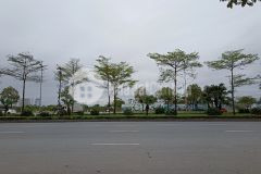 Bán đất đường lý sơn cực chất, dt 70m2, mt 4.2 m, giá 4.1 tỷ, ô tô, sát mặt lý sơn.