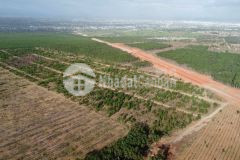 Bán đất ấp chợ mới, xã long hoà, tx gò công, tiền giang, shr, 20.5trm2.