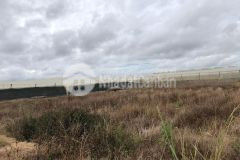 Chỉ với 580tr bạn đã có thể sở hữu ngay lô đất 5x48 tại lạc xuân