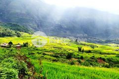 Bán đất tại y tý, sapa2, giá siêu rẻ. view săn mây. đã có sổ