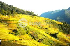 Mảnh đất siêu đẹp view hồ, giá cực rẻ, quy hoạch đất thổ cư.