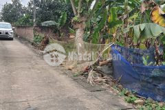 Ban gâp thôn 2 phu cat, đất siêu khan hiếm tuyệt chủng, có một không hai.