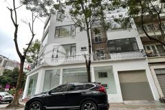 Lô góc, kinh doanh đỉnh, ô tô, vỉa hè. kđt văn phú, quận hà đông.