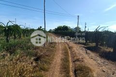 Tân tiến lagi 1 ha 4 tỷ lô 2 đường tây sơn