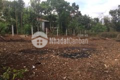 D179vpt đất mặt tiền đường b3 thôn 4 xã cư êbur