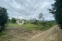 Bán hơn 1 sào đất chỉ 550triệu ngay tỉnh lộ 8 cách ubnd khánh đông 1km