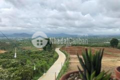 Hot hot, chỉ với giá 1 tỷ 250 triệu ac đã sở hữu được 1 lô đất 550m2 tại tân văn, lâm hà, lâm đồng