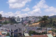 Đầu tư chỉ với 41,8 triệum2 biệt thự 2 mặt tiền view thành phố phường 5 đà lạt