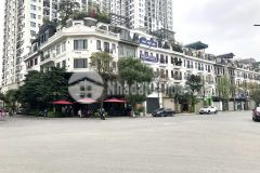 Bán đất nguyễn sơn 143m nhỉnh 20 tỷ mặt phố, vỉa hè, ô tô, kinh doanh 0888160055.