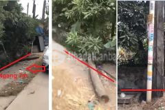 Bán 182m2 mt hồng phong 24m gần vicom quảng ninh, giá đầu tư 4,99 tỷ.. lh0909711000.