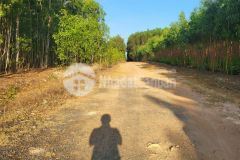 2 mặt tiền số 8 58x36 80 triệum ngang tân hà hàm tân