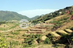 Đón sóng du lịch sapa, tìm nhà đầu tư cho cực phẩm 205m2 tại tả phìn