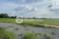 Cần bán nhanh miếng đất vườn 1204m2 ở củ chi giá 1 tỷ 8 đường oto