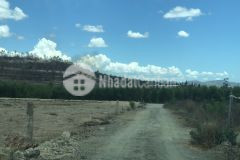 4,3 mẫu 3 tỷ mẫu sông phan, hàm tân